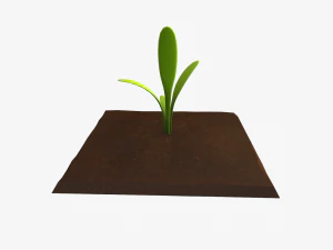 cartoon vegetable plot 3D Model