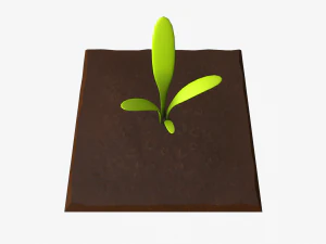 cartoon vegetable plot 3D Model
