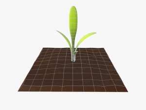 cartoon vegetable plot 3D Model