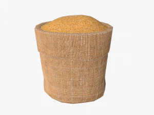 paddy in sackcloth 3D Model