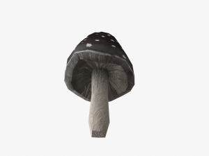 mushroom pack 3D Model