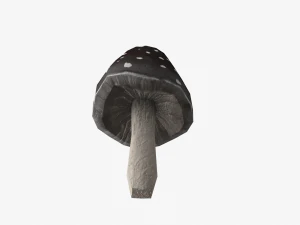 mushroom pack 3D Model