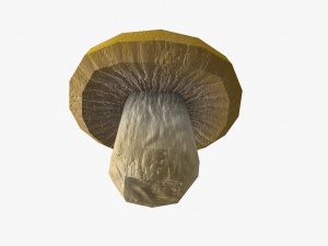 mushroom pack 3D Model