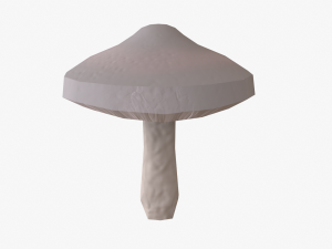 mushroom pack 3D Model