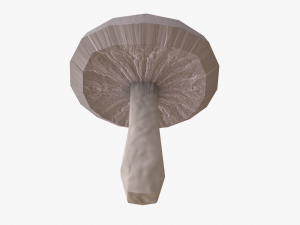 mushroom pack 3D Model