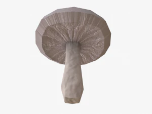 mushroom pack 3D Model