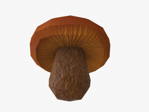 mushroom pack 3D Model