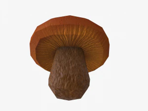 mushroom pack 3D Model