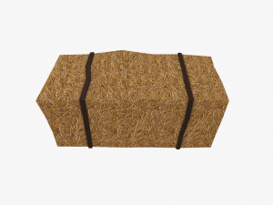 straw pack Model 3D