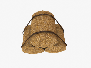 straw pack Model 3D