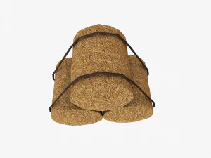 straw pack 3D Model