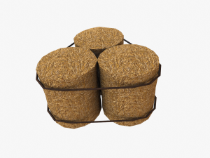 straw pack Model 3D
