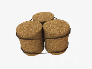 straw pack 3D Model