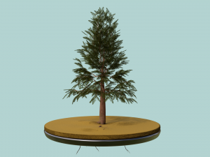 pine tree 3D Model