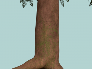 pine tree Model 3D