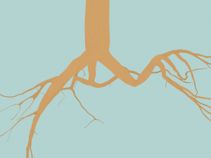 pine tree Model 3D