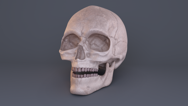 skull Modèle 3D .c4d .max .obj .3ds .fbx .stl .blend 