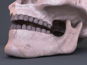 skull Modèle 3D