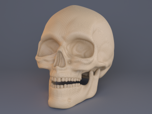 skull Modèle 3D