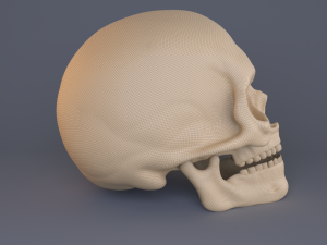skull Modèle 3D