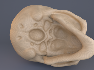 skull Modèle 3D