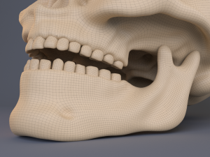 skull Modèle 3D