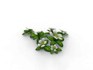 Cartoon Flowers 3D Model