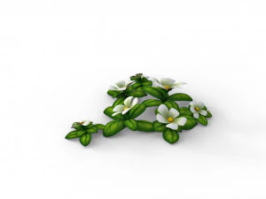 Cartoon Flowers 3D Model