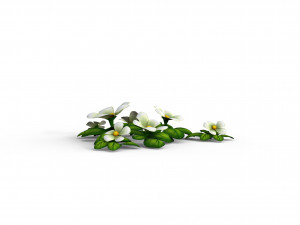 Cartoon Flowers 3D Модель
