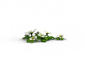 Cartoon Flowers 3D Model