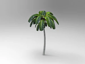 Palmeira Modelo 3D
