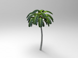 Palm tree 3D Model