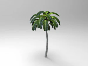 Palmeira Modelo 3D