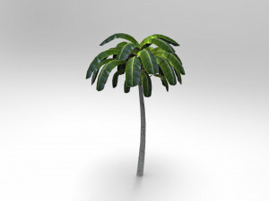 Palm tree 3D Model