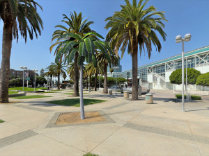 Palm tree 3D Model