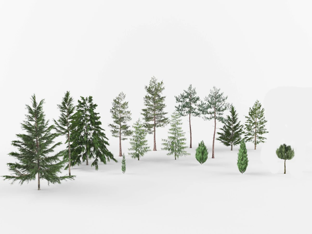 Collection Coniferous trees 3D Model .c4d .max .obj .3ds .fbx .stl .blend 