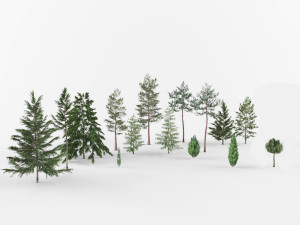 Collection Coniferous trees 3D Model