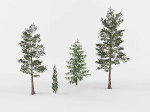 Collection Coniferous trees 3D Model