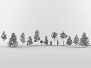 Collection Coniferous trees 3D Model