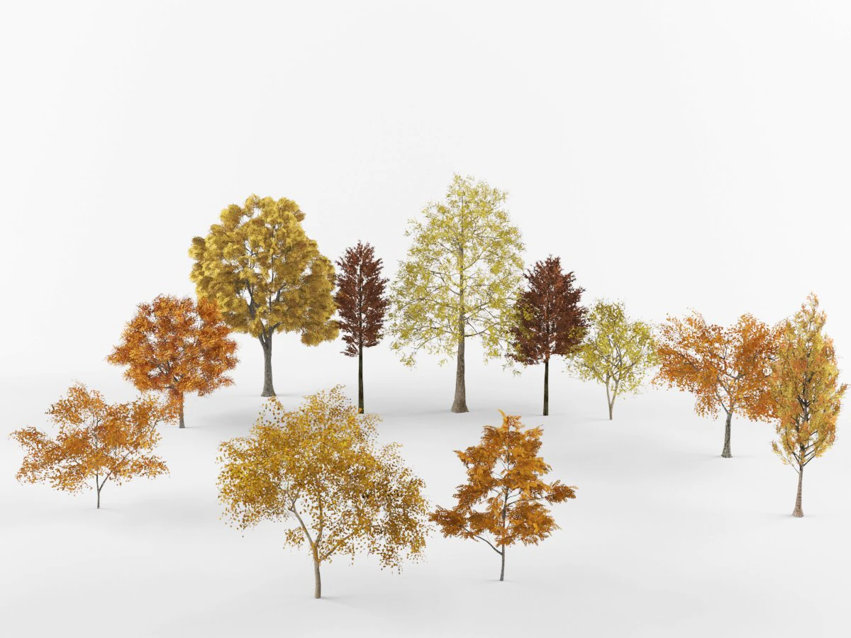 Autumn trees 3D Model .c4d .max .obj .3ds .fbx .stl .blend 