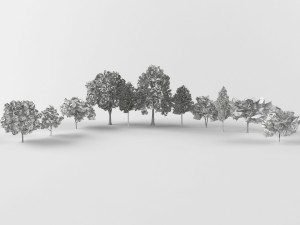Autumn trees Modello 3D