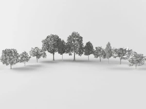 Autumn trees 3D Model