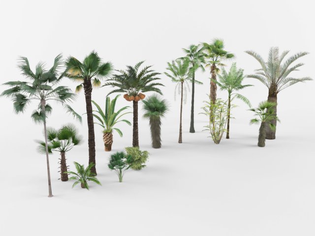 Collection of Palm trees Modelo 3D .c4d .max .obj .3ds .fbx .stl .blend 