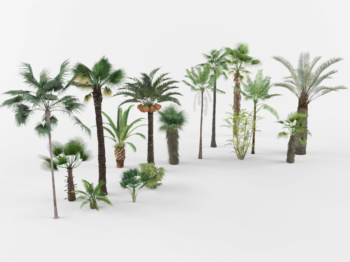 Collection of Palm trees 3D Model .c4d .max .obj .3ds .fbx .stl .blend 