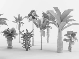 Collection of Palm trees 3D Model