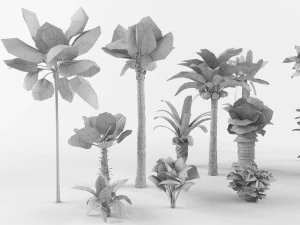 Collection of Palm trees 3D Model