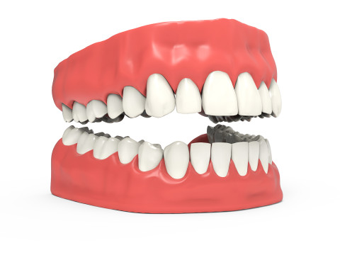Teeth 3D Model