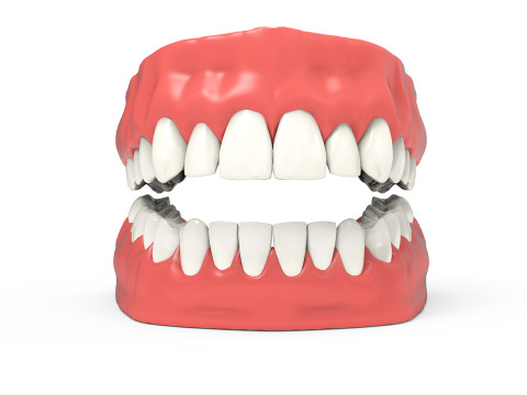 Teeth 3D Model