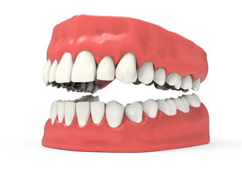 Teeth 3D Model