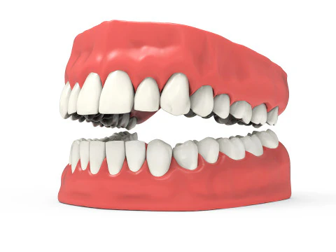 Teeth 3D Model